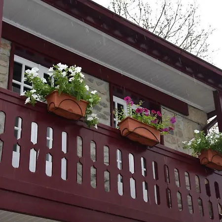 Domus Avocat Apartment